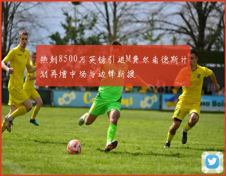 热刺8500万英镑引进M费尔南德斯计划再增中场与边锋新援