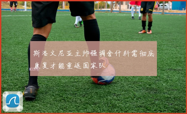 斯洛文尼亚主帅强调舍什科需彻底康复才能重返国家队